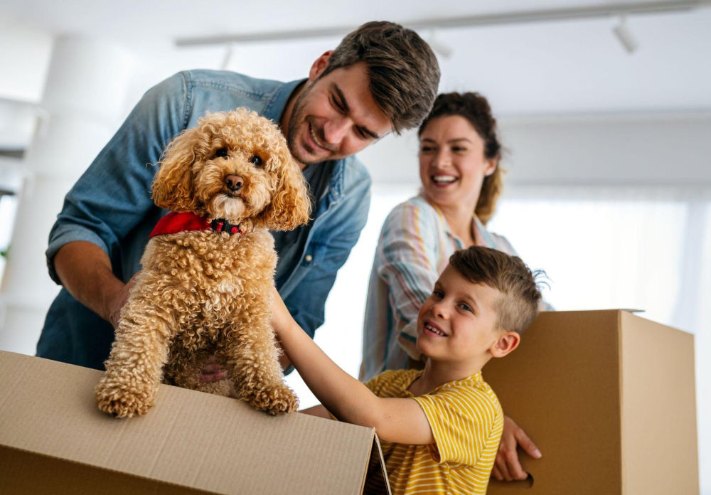 Family moving with a dog during a home relocation